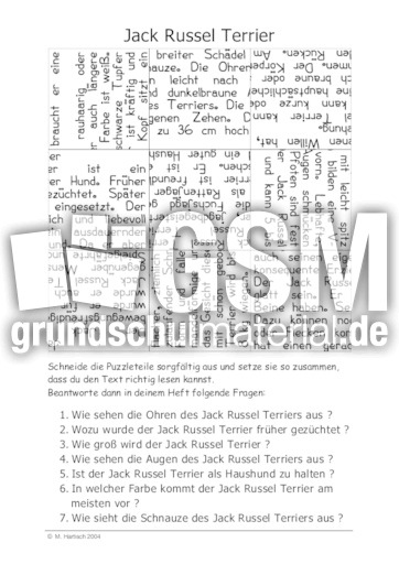 Jack Russel Terrier.pdf